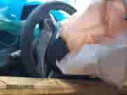 2011 Honda Accord EX with VIN 1HGCS1B79BA001377, listed as a IAAI auction lot 40209633 with 71,364 mi miles and . Bid and sale history available at DreamBid. Image 7.