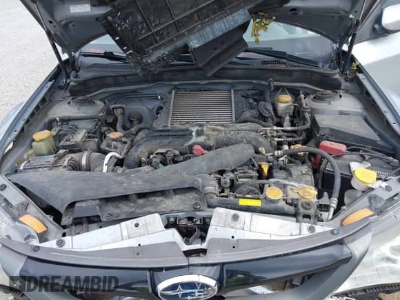 2014 Subaru WRX WRX Limited с VIN JF1GV7F63EG011955, выставлен на аукционе IAAI как лот 42880417 с пробегом 69 685 миль миль и . История ставок и продаж доступна на DreamBid. Изображение 10.