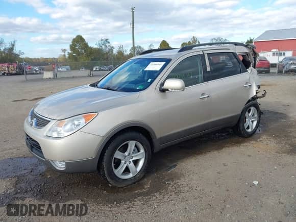 2008 Hyundai Veracruz GLS z VIN KM8NU13CX8U041001, wystawiony jako IAAI lot #43396941 z przebiegiem 102 706 mil mil oraz . Historia ofert i sprzedaży dostępna na DreamBid. Obrazek 2.