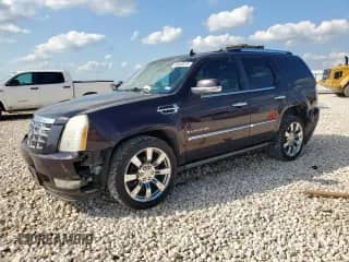 2009 Cadillac Escalade with VIN 1GYFK23259R221884, listed as a Copart auction lot 58848375 with 173,556 mi miles and Salvage title. Bid and sale history available at DreamBid. Image 1.