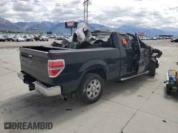 2013 Ford F-150 XL with VIN 1FTFX1CT8DFC27361, listed as a Copart auction lot 53086075 with Not provided miles and Salvage title. Bid and sale history available at DreamBid. Image 3.