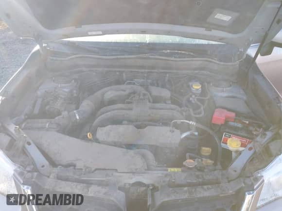 2016 Subaru Forester Touring with VIN JF2SJAXC9GH556784, listed as a IAAI auction lot 43378533 with 72,771 mi miles and . Bid and sale history available at DreamBid. Image 10.