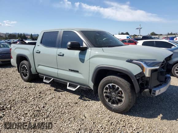 2024 Toyota Tundra SR5 with VIN 5TFLA5DB3RX132466, listed as a Copart auction lot 81807885 with 19,684 mi miles and Salvage title. Bid and sale history available at DreamBid. Image 4.