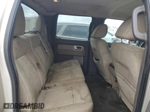 2010 Ford F-150 XL z VIN 1FTEW1C84AFB91285, wystawiony jako Copart lot #85287275 z przebiegiem 215 644 mil mil oraz Szkoda całkowita • Salvage title. Historia ofert i sprzedaży dostępna na DreamBid. Obrazek 10.