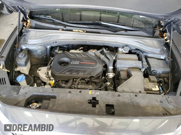 2020 Hyundai Santa Fe SEL with VIN 5NMS3CAA9LH293202, listed as a Copart auction lot 72715452 with 33,881 mi miles and . Bid and sale history available at DreamBid. Image 12.