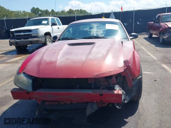 1999 Ford Mustang GT with VIN 1FAFP42X2XF107992, listed as a IAAI auction lot 43240153 with Not provided miles and . Bid and sale history available at DreamBid. Image 13.