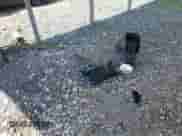 2021 Mitsubishi Outlander ES z VIN JA4APUAU5MU001887, wystawiony jako IAAI lot #39914705 z przebiegiem Nie podano mil oraz . Historia ofert i sprzedaży dostępna na DreamBid. Obrazek 12.