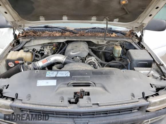 2002 Chevrolet Silverado 1500 LS with VIN 1GCEC14T62Z143699, listed as a Copart auction lot 69690714 with 294,016 mi miles and Salvage title. Bid and sale history available at DreamBid. Image 11.