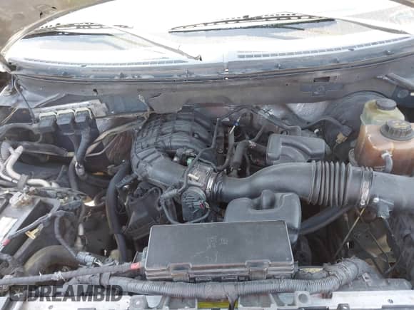 2011 Ford F-150 XL с VIN 1FTEW1CM0BFB52109, выставлен на аукционе IAAI как лот 42859766 с пробегом 215 317 миль миль и . История ставок и продаж доступна на DreamBid. Изображение 10.