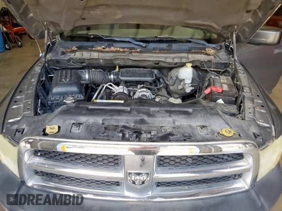 2010 Dodge 1500 ST with VIN 1D7RB1GK0AS248002, listed as a Copart auction lot 66406165 with 120,533 mi miles and Clean title. Bid and sale history available at DreamBid. Image 11.