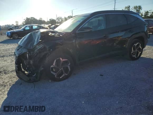 2023 Hyundai Tucson Limited с VIN 5NMJECAE4PH284194, выставлен на аукционе Copart как лот 83752115 с пробегом 43 068 миль миль и Списание • Salvage title. История ставок и продаж доступна на DreamBid. Изображение 1.