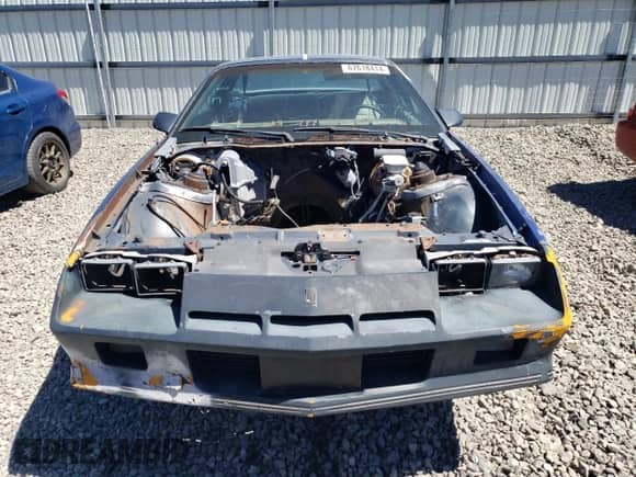 1982 Chevrolet Camaro with VIN 1G1AS87H0CL177359, listed as a Copart auction lot 67618414 with Not provided miles and Salvage title. Bid and sale history available at DreamBid. Image 5.