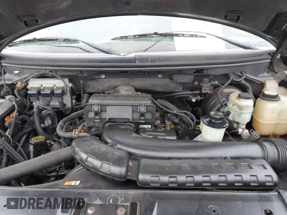 2004 Ford F-150 XLT с VIN 1FTPW145X4KC32978, выставлен на аукционе IAAI как лот 43532385 с пробегом 144 829 миль миль и . История ставок и продаж доступна на DreamBid. Изображение 10.