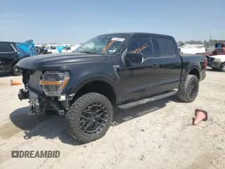 2024 Ford F-150 with VIN 1FTFW4L80RFA70206, listed as a Copart auction lot 49126225 with 8,183 mi miles and Salvage title. Bid and sale history available at DreamBid. Image 1.