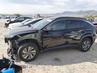 2022 Hyundai Tucson Blue with VIN KM8JBCA11NU028277, listed as a Copart auction lot 70946845 with 48,913 mi miles and Salvage title. Bid and sale history available at DreamBid. Image 1.