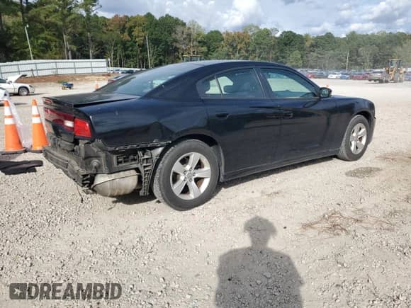 2014 Dodge Charger SE с VIN 2C3CDXBG6EH369246, выставлен на аукционе Copart как лот 85577645 с пробегом 201 170 миль миль и Списание • Salvage title. История ставок и продаж доступна на DreamBid. Изображение 3.