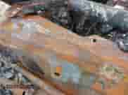 2015 Ram 1500 Tradesman z VIN 1C6RR6KM2FS578041, wystawiony jako IAAI lot #43070071 z przebiegiem Nie podano mil oraz . Historia ofert i sprzedaży dostępna na DreamBid. Obrazek 9.