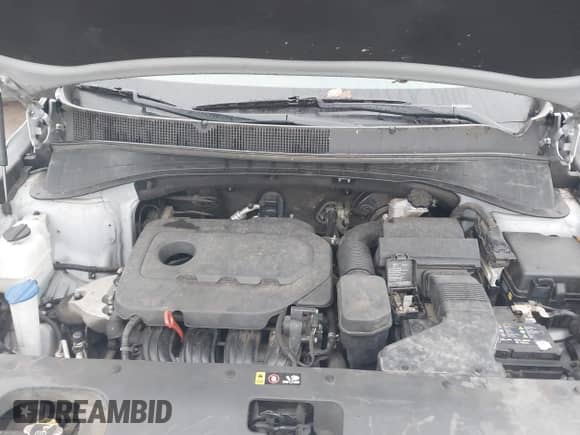 2019 Kia Sorento L with VIN 5XYPG4A34KG569263, listed as a IAAI auction lot 43390806 with 116,537 mi miles and . Bid and sale history available at DreamBid. Image 10.