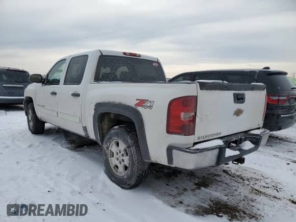 2007 Chevrolet Silverado 1500 LS with VIN 2GCEK13C171574360, listed as a Copart auction lot 44772005 with 102,825 mi miles and Salvage title. Bid and sale history available at DreamBid. Image 2.