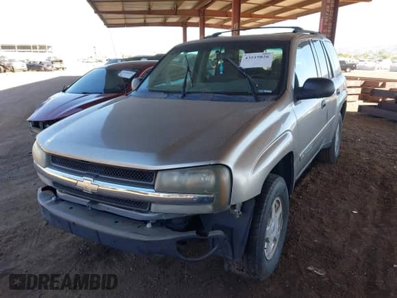 2002 Chevrolet TrailBlazer LS with VIN 1GNDS13S622519857, listed as a IAAI auction lot 43519826 with 233,882 mi miles and . Bid and sale history available at DreamBid. Image 6.