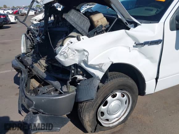 2010 Ford F-150 XL with VIN 1FTEX1CW0AKB59081, listed as a IAAI auction lot 42979245 with Not provided miles and . Bid and sale history available at DreamBid. Image 18.