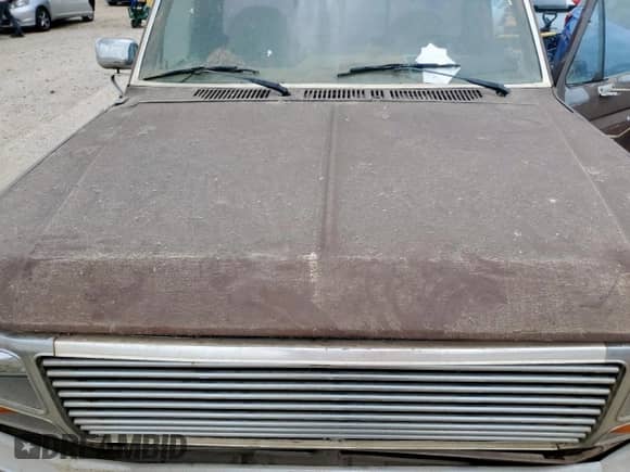 1983 Ford F-150 z VIN 1FTEF14Y1DLA86384, wystawiony jako Copart lot #61199765 z przebiegiem 382 346 mil mil oraz Czysty tytuł • Clean title. Historia ofert i sprzedaży dostępna na DreamBid. Obrazek 11.