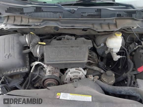 2010 Dodge 1500 ST z VIN 1D7RB1CP4AS101599, wystawiony jako IAAI lot #41076441 z przebiegiem 229 781 mil mil oraz . Historia ofert i sprzedaży dostępna na DreamBid. Obrazek 10.