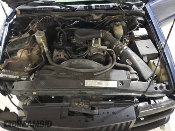 2000 Chevrolet Blazer LS z VIN 1GNCS13W7YK297644, wystawiony jako Copart lot #70089505 z przebiegiem 264 962 mil mil oraz Szkoda całkowita • Salvage title. Historia ofert i sprzedaży dostępna na DreamBid. Obrazek 12.