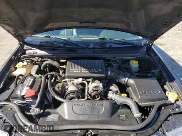 2002 Jeep Grand Cherokee Limited z VIN 1J8GW58J32C256389, wystawiony jako Copart lot #80217465 z przebiegiem 129 610 mil mil oraz Szkoda całkowita • Salvage title. Historia ofert i sprzedaży dostępna na DreamBid. Obrazek 12.