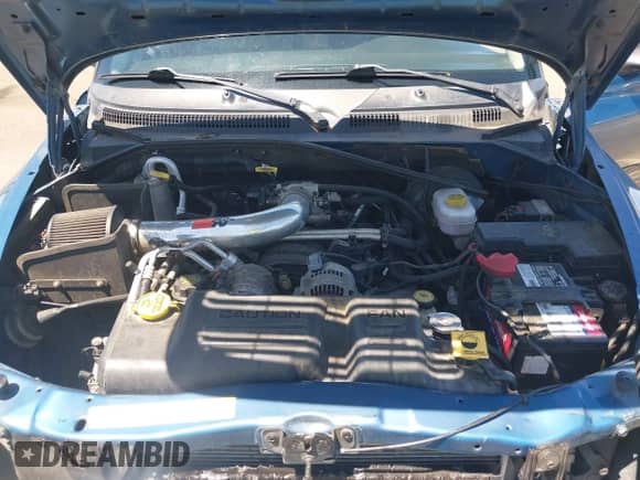 2003 Dodge Dakota SLT с VIN 1D7HL48N83S247654, выставлен на аукционе IAAI как лот 42337656 с пробегом 169 001 миль миль и . История ставок и продаж доступна на DreamBid. Изображение 10.