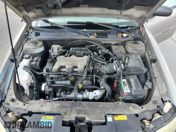 2000 Chevrolet Malibu с VIN 1G1ND52J0Y6251969, выставлен на аукционе Copart как лот 66704125 с пробегом 246 419 миль миль и Списание • Salvage title. История ставок и продаж доступна на DreamBid. Изображение 11.