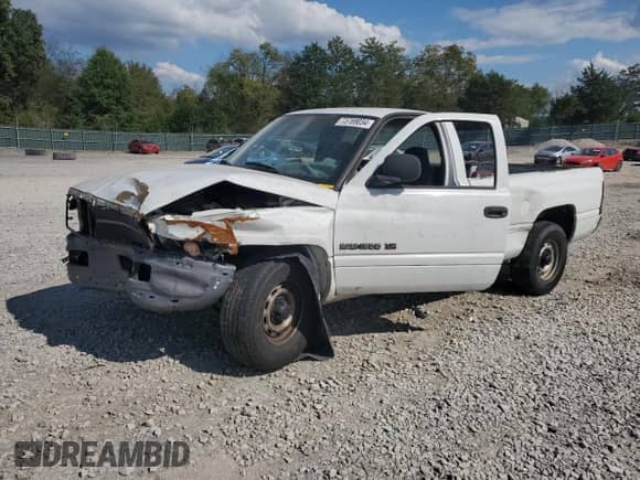 2001 Dodge 1500 Work Special z VIN 1B7HC16X01S659500, wystawiony jako Copart lot #73789034 z przebiegiem 175 338 mil mil oraz Czysty tytuł • Clean title. Historia ofert i sprzedaży dostępna na DreamBid. Obrazek 1.