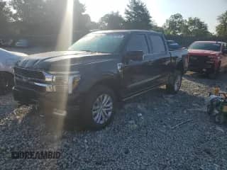 2024 Ford F-150 King Ranch с VIN 1FTFW6L81RFA64507, выставлен на аукционе Copart как лот 66218615 с пробегом 25 246 миль миль и Списание • Salvage title. История ставок и продаж доступна на DreamBid. Изображение 1.