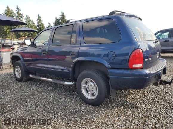 1999 Dodge Durango with VIN 1B4HS28Z1XF593660, listed as a Copart auction lot 80192615 with 119,588 mi miles and Salvage title. Bid and sale history available at DreamBid. Image 2.