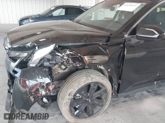 2024 Hyundai Palisade XRT z VIN KM8R34GE5RU683726, wystawiony jako IAAI lot #42535033 z przebiegiem 26 175 mil mil oraz . Historia ofert i sprzedaży dostępna na DreamBid. Obrazek 6.