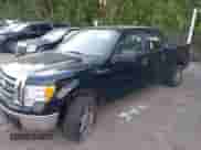 2011 Ford F-150 XLT z VIN 1FTFW1ET7BFB86749, wystawiony jako IAAI lot #39484423 z przebiegiem 201 403 mil mil oraz . Historia ofert i sprzedaży dostępna na DreamBid. Obrazek 2.