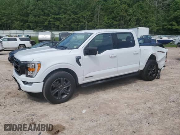 2023 Ford F-150 XL с VIN 1FTFW1ED3PFD10029, выставлен на аукционе Copart как лот 66807075 с пробегом 28 412 миль миль и Списание • Salvage title. История ставок и продаж доступна на DreamBid. Изображение 1.
