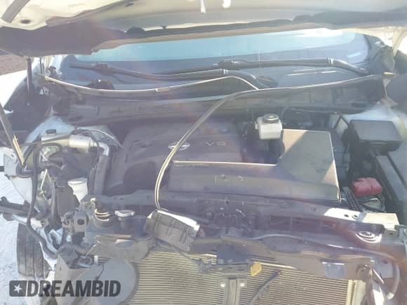 2017 Nissan Murano S with VIN 5N1AZ2MG2HN122382, listed as a IAAI auction lot 43233829 with 96,673 mi miles and . Bid and sale history available at DreamBid. Image 10.