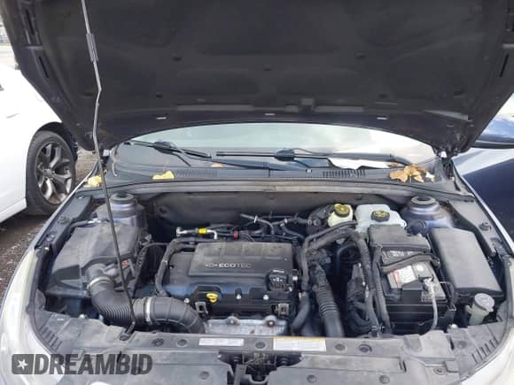 2013 Chevrolet Cruze 1LT with VIN 1G1PC5SB2D7131387, listed as a IAAI auction lot 43321736 with 185,716 mi miles and . Bid and sale history available at DreamBid. Image 10.