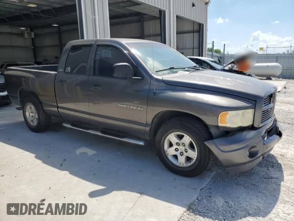 2002 Dodge 1500 with VIN 1D7HA18Z92J130337, listed as a Copart auction lot 69320295 with 143,494 mi miles and Salvage title. Bid and sale history available at DreamBid. Image 4.