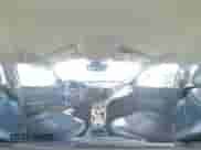 2021 Jeep Compass Limited z VIN 3C4NJCCB4MT559402, wystawiony jako Copart lot #65351215 z przebiegiem 110 059 mil mil oraz Szkoda całkowita • Salvage title. Historia ofert i sprzedaży dostępna na DreamBid. Obrazek 16.