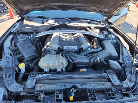 2017 Ford Mustang GT z VIN 1FA6P8CF2H5272235, wystawiony jako Copart lot #82162045 z przebiegiem 83 940 mil mil oraz Szkoda całkowita • Salvage title. Historia ofert i sprzedaży dostępna na DreamBid. Obrazek 11.
