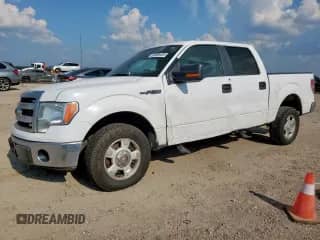 2013 Ford F-150 XLT z VIN 1FTEW1CM7DFA45402, wystawiony jako Copart lot #80385435 z przebiegiem Nie podano mil oraz Szkoda całkowita • Salvage title. Historia ofert i sprzedaży dostępna na DreamBid. Obrazek 1.