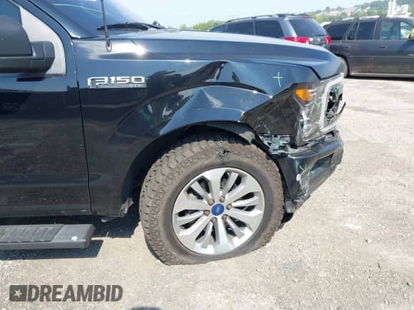 2018 Ford F-150 XL with VIN 1FTEW1CP6JFA04295, listed as a IAAI auction lot 42993400 with 228,306 mi miles and . Bid and sale history available at DreamBid. Image 18.