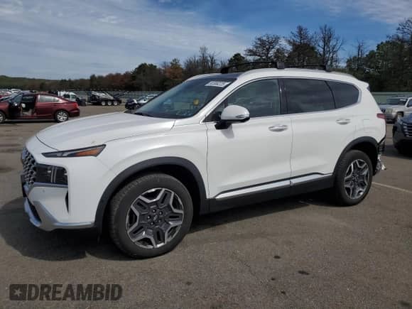 2022 Hyundai Santa Fe Limited with VIN KM8S5DA12NU018620, listed as a Copart auction lot 80389225 with 28,867 mi miles and Salvage title. Bid and sale history available at DreamBid. Image 1.