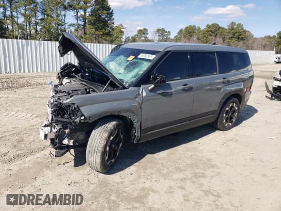 2024 Hyundai Santa Fe SE с VIN 5NMP1DGL2RH054366, выставлен на аукционе Copart как лот 54133205 с пробегом 16 924 миль миль и На запчасти • Non repairable. История ставок и продаж доступна на DreamBid. Изображение 1.