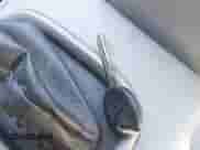 2010 Chevrolet Cobalt LS with VIN 1G1AB5F5XA7153405, listed as a IAAI auction lot 43513513 with 168,799 mi miles and . Bid and sale history available at DreamBid. Image 11.