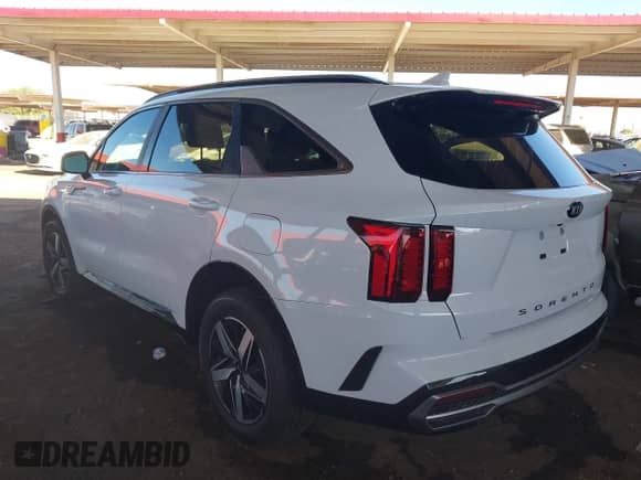 2021 Kia Sorento S with VIN 5XYRL4LC2MG008418, listed as a IAAI auction lot 43352984 with 123,104 mi miles and . Bid and sale history available at DreamBid. Image 3.