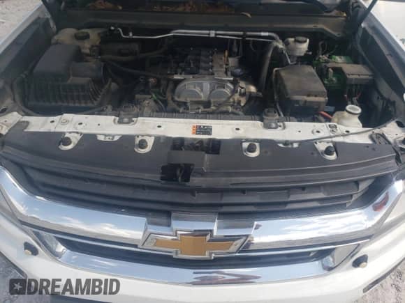 2019 Chevrolet Colorado 4WD Work Truck z VIN 1GCHTBEA2K1270030, wystawiony jako Copart lot #68033345 z przebiegiem 167 431 mil mil oraz Czysty tytuł • Clean title. Historia ofert i sprzedaży dostępna na DreamBid. Obrazek 11.