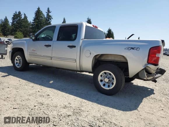 2010 Chevrolet Silverado 1500 LT with VIN 3GCRKSEAXAG210441, listed as a Copart auction lot 64805215 with 211,884 mi miles and Salvage title. Bid and sale history available at DreamBid. Image 2.